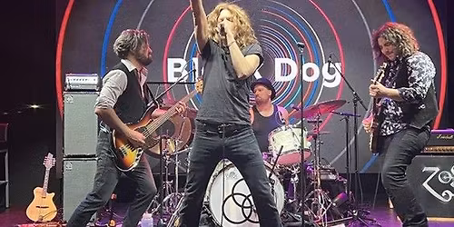 Black Dog - The Spirit of Led Zeppelin