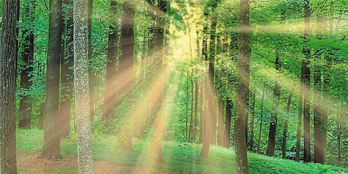 A Deeper Connection with God is Closer Than You Think