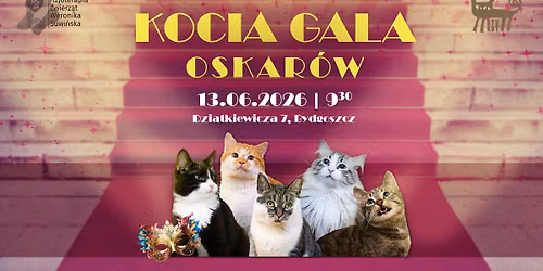 \ud83c\udfc6 \ud83d\ude3cKocia Gala Oskarowa \ud83d\ude3c\ud83c\udfc6