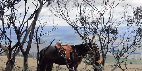 Ride at Four Springs