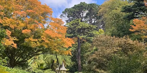 Climbers, creepers and perchers - Guided Walk