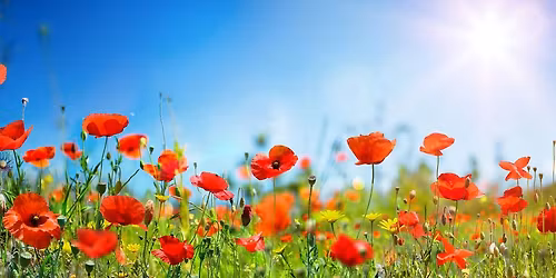 Free Entry - Midleton Psychic & Holistic Fair