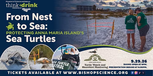 think + drink presents: From Nest to Sea: Protecting Anna Maria Island\u2019s Sea Turtles