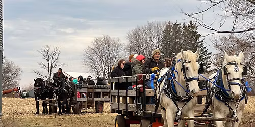 Christmas at the stable 