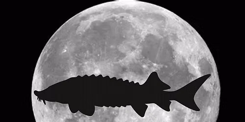 Full Moon Hike: The Sturgeon Moon