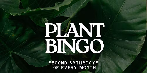 Plant Bingo Returns to Gilly Brew Bar