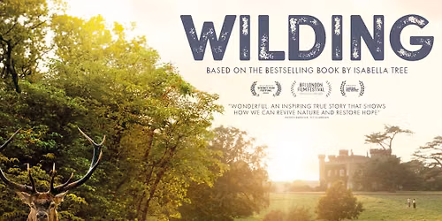 WILDING- FILM SCREENING