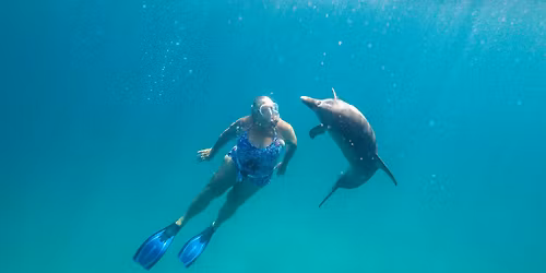 Sea Drinks Christmas Party & Guest Speaker Anne Gordon!!