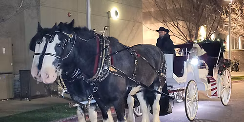Downtown Fort Collins Holiday Light Tours