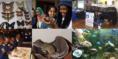 Yebo Gogga Yebo amaBlomo 2026 13 - 17 May