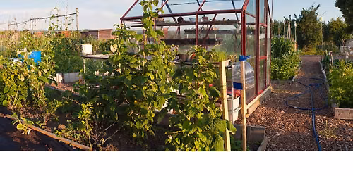 SPZ Allotment Day!