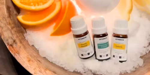 Saunagus i L\u00f8ve