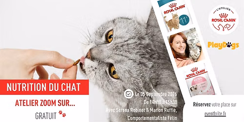 ZOOM SUR... LA NUTRITION DU CHAT