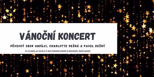 V\u00c1NO\u010cN\u00cd KONCERT pro SEB\u00cdKA