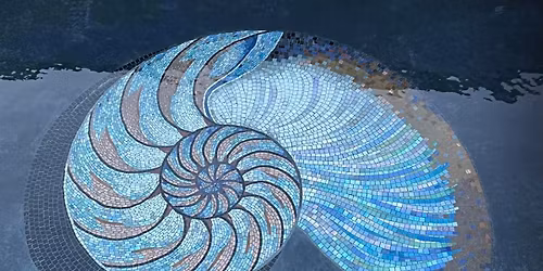 Mosaic Classes and thrifting