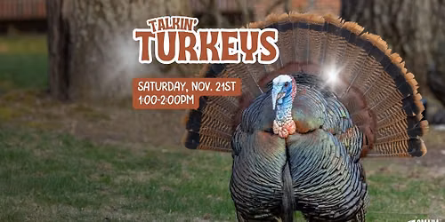 Talkin' Turkeys