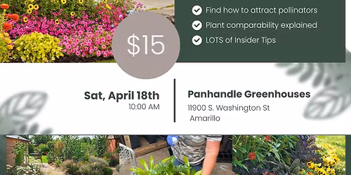 Flower Bed Design with Rhonda