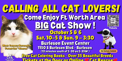 Cats at Emens Auditorium