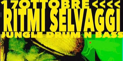 Ritmi Selvaggi al Sottotetto 