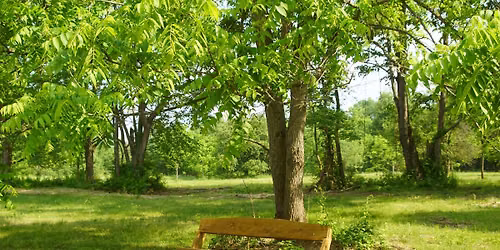 Conservation Board Meeting - July
