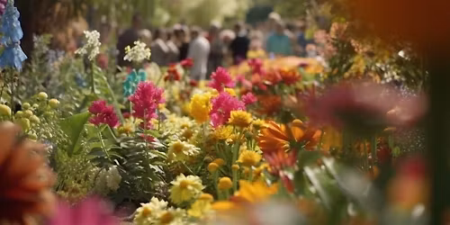 Rainier View Open Homes!