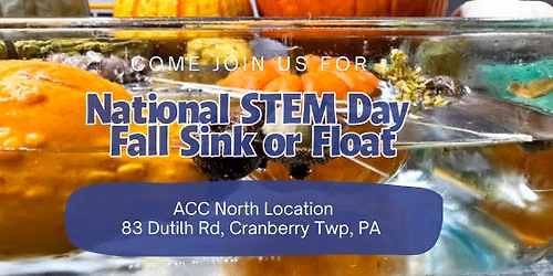 Cranberry: National STEM Day Activity - Fall Sink or Float