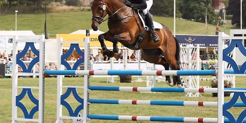 Show Jumping Clinic with Michael Owen
