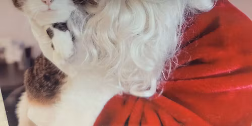 Naughty or Nice? HSRC Pet Photos with Santa