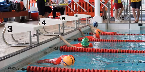 Wessex Region NIPPERS Stillwaters