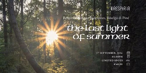The last light of summer: forest bathing in Bedolpian wood