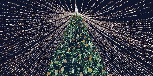 \ud83c\udf1f Join Us for the 2025 Tree of Lights Service \ud83c\udf1f