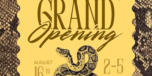Dallas Strike Grand Opening
