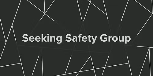 Seeking Safety Group