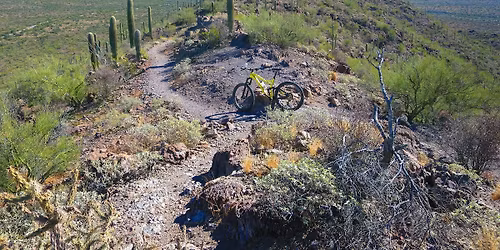 Trail Steward Training - Enchanted Hills