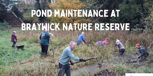 Pond maintenance at Braywick Nature Reserve