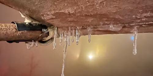 Met Butze auf der Wartburg 2. Advent