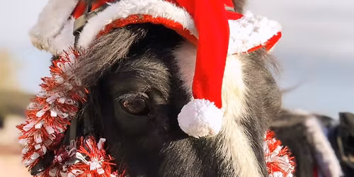 Christmas Guided Ride to Chatsworth