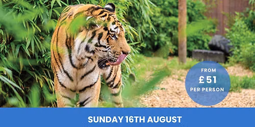 Colchester Zoo inc. Coach Travel