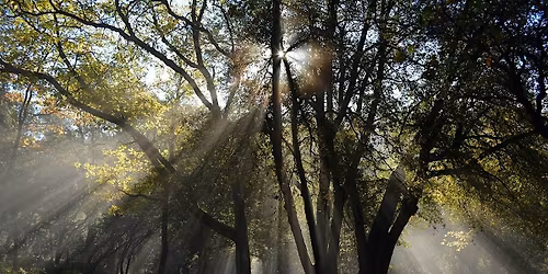 Write Back to Nature