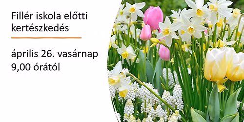 Kert\u00e9szked\u00e9s a Fill\u00e9r suli el\u0151tt