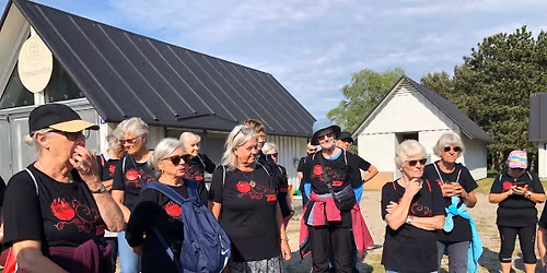 Ladywalk 2026 fra Br\u00f8ndby strand 