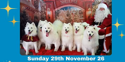 Samoyeds of WA Rescue Xmas Pawty 2026
