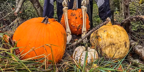 Halloween Trail Day
