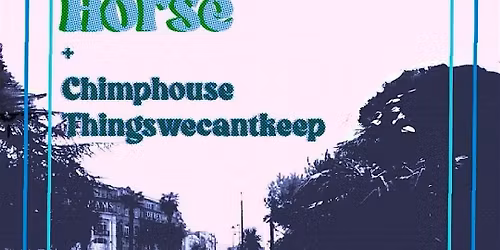 CHEAP DIRTY HORSE - The Anvil