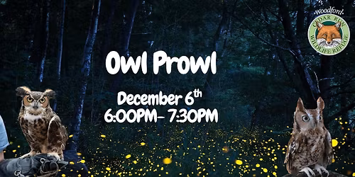 Owl Prowl