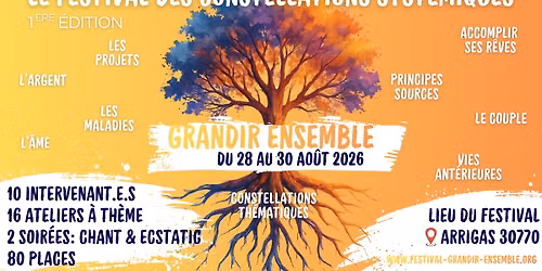 Festival Grandir Ensemble: Le Festival des Constellations Syst\u00e9miques