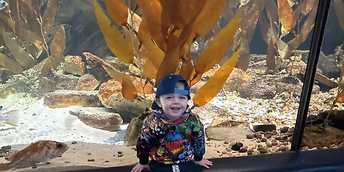 To In-THREE-nity and Beyond! 