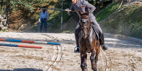Working Equitation Kurs mit Mihai Maldea