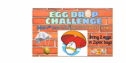 Egg Drop Challenge