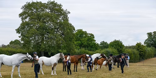 NWSC - Ossie Ward Showing Show